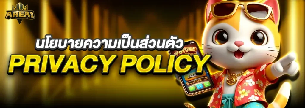 นโยบายความเป็นส่วนตัว